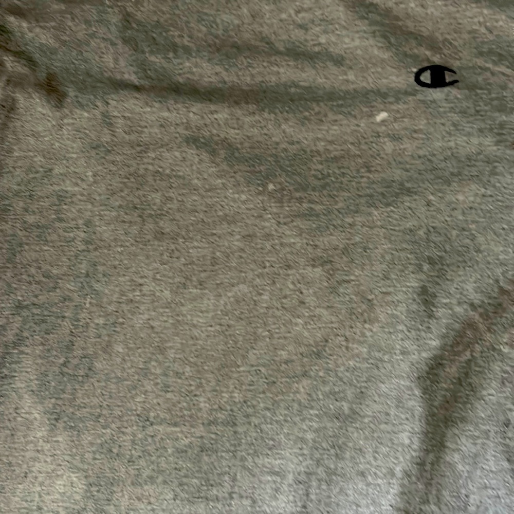 Champion grey shirt